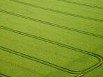 The Role of Climate in Crop Selection Unveiled