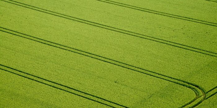 The Role of Climate in Crop Selection Unveiled