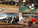 Steps to Turn Your Small Farm into a Big Business with a Dash of Humor