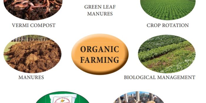Benefits of Organic Farming for the Environment A Green Revolution