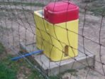 Water Management Tips for Livestock Farmers A Splash of Success