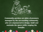Community Gardens and Their Impact on Cities Revealed
