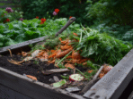 How to Create a Healthy Organic Compost System Made Fun