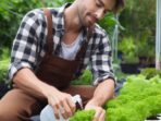 How to Use Hydroponics in Urban Agriculture with a Twist