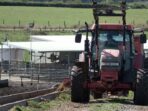Understanding Animal Welfare in Modern Farming Insights and Innovations