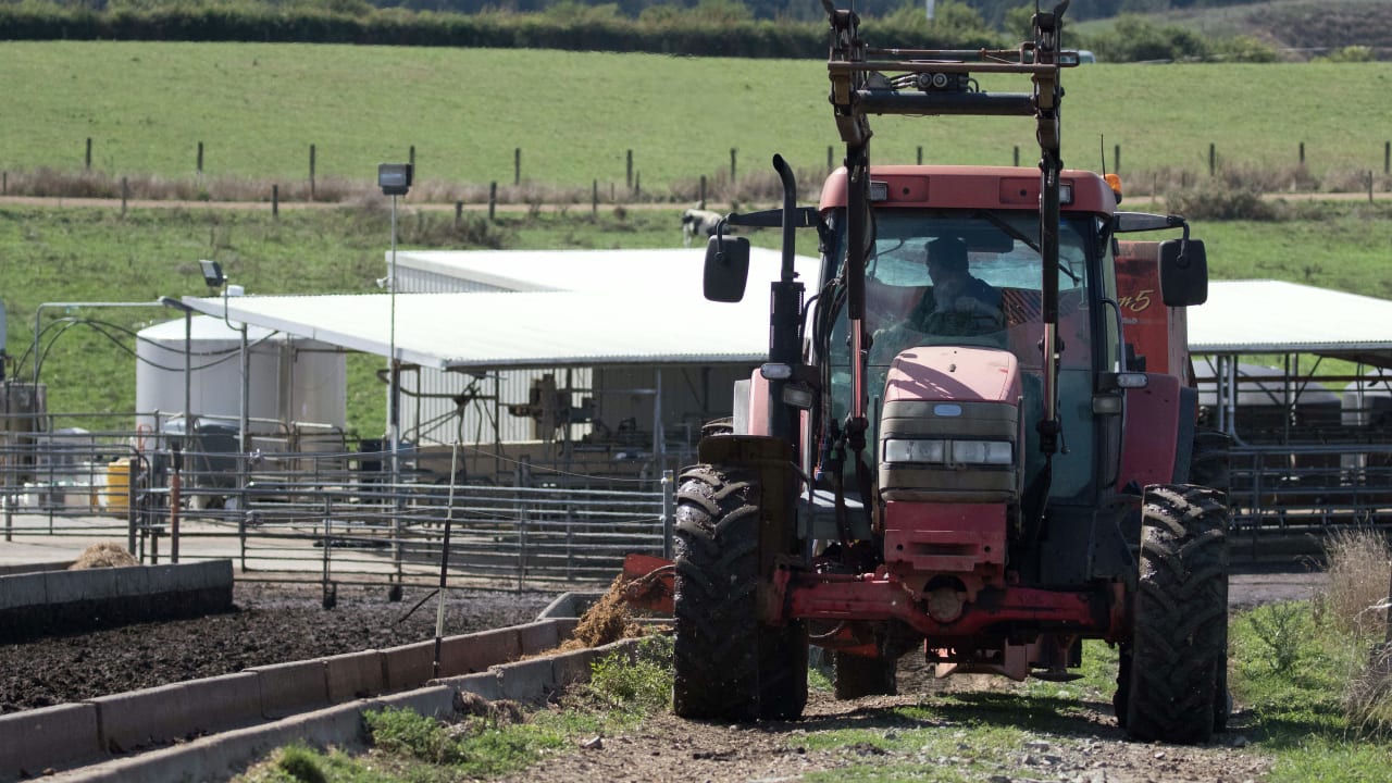 Understanding Animal Welfare in Modern Farming Insights and Innovations