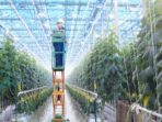 Greenhouse Farming Combined with Livestock Systems Magic
