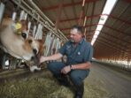 How to Manage Animal Health in Your Farm with Flair