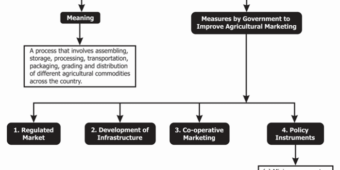 Tips for Marketing Your Agricultural Products Like a Pro