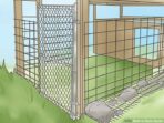How to Raise Ducks for Meat and Eggs in Your Backyard