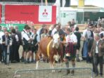 Best Breeds for Dairy Farming and Milk Production Unleashed