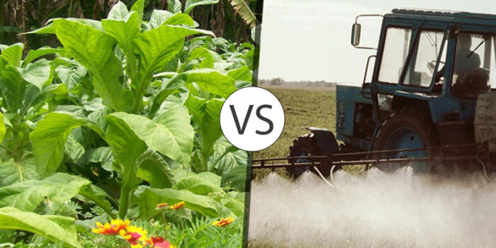 Organic Farming vs Conventional Farming Key Differences Unraveled