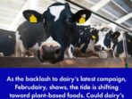 Common Challenges in Dairy Farming and Solutions