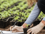 How to Use Farm Waste to Improve Soil Health Made Simple