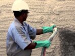 How to Improve Soil Fertility for Better Yields Made Easy