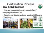 The Certification Process for Organic Farms Unveiled