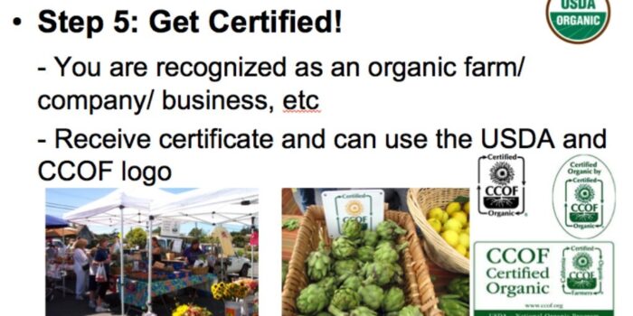The Certification Process for Organic Farms Unveiled