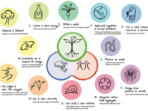 Creating a Sustainable Farm Using Permaculture Principles for Green Thumbs