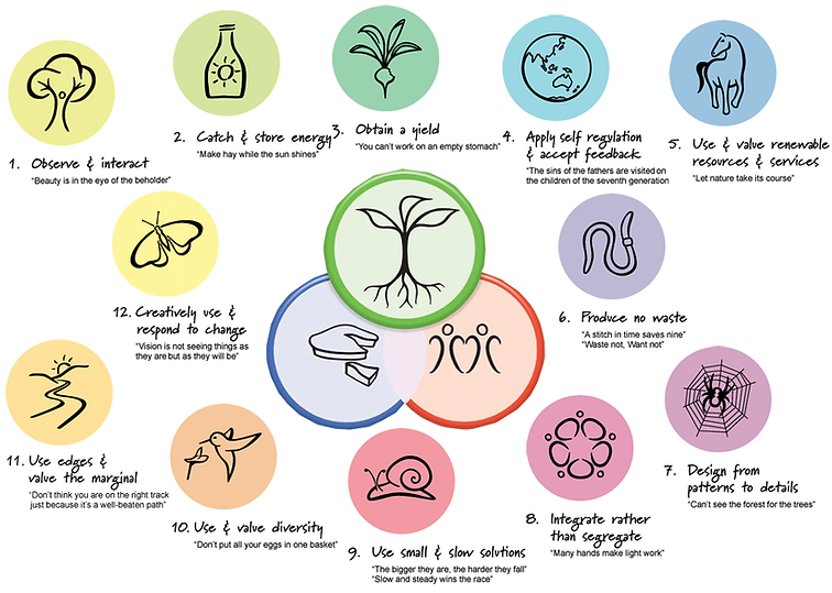 Creating a Sustainable Farm Using Permaculture Principles for Green Thumbs