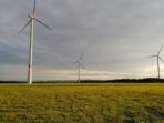 Sustainable Farming Practices You Can Start Today