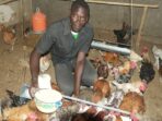 Tips for Feeding and Nutrition in Poultry Farming Made Easy