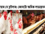 Layer vs Broiler Farming Which is More Profitable Showdown