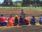 How to Start a Profitable Small Farm and Reap Riches