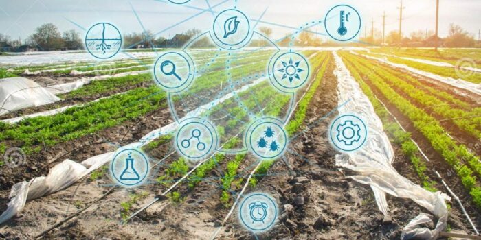 Innovative Technologies Transforming Agribusiness