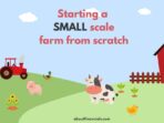 How to Start a Small Scale Dairy Farm with Moo-velous Tips