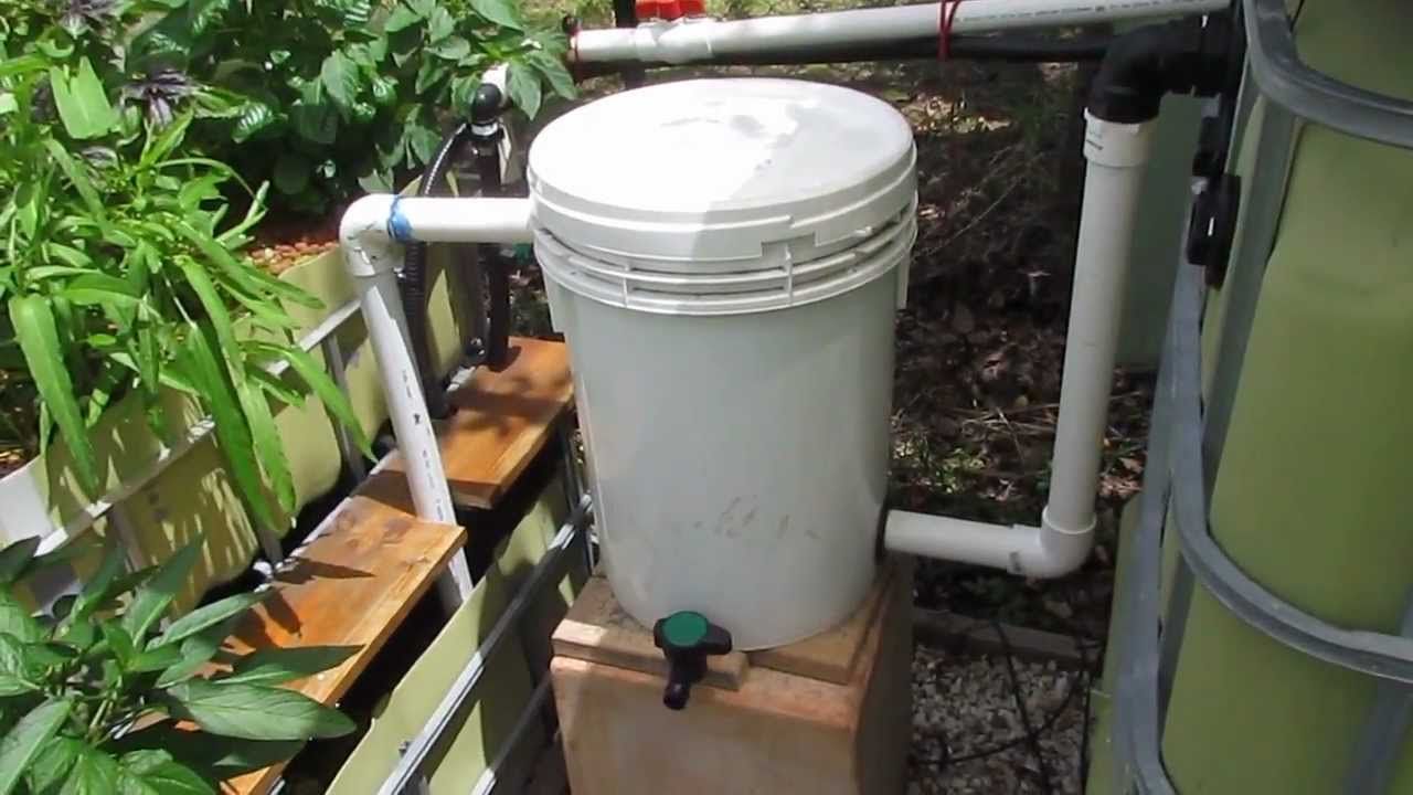 Aquaponics In Urban Farming A Sustainable Food System For Cities