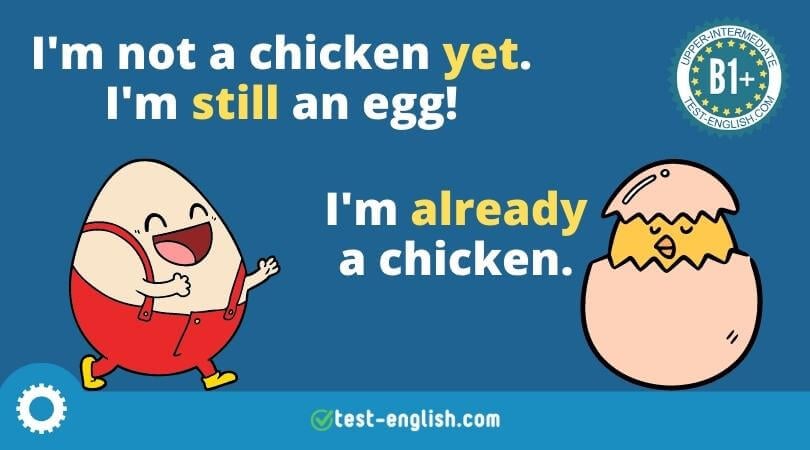 The Rise of Indoor Farming: Fresh Produce All Year Round