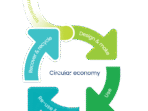 Urban Farming And Circular Economy Reducing Waste, Growing Food