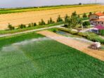 Sustainable Irrigation Methods For Urban Farming Success